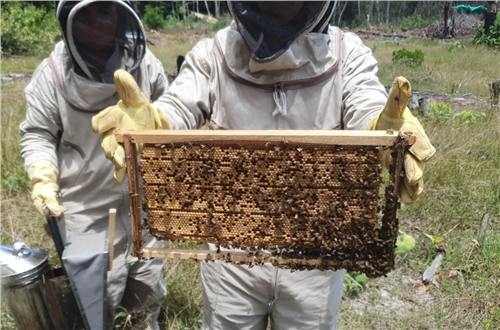 Momento del trabajo apícola de Beeprofit