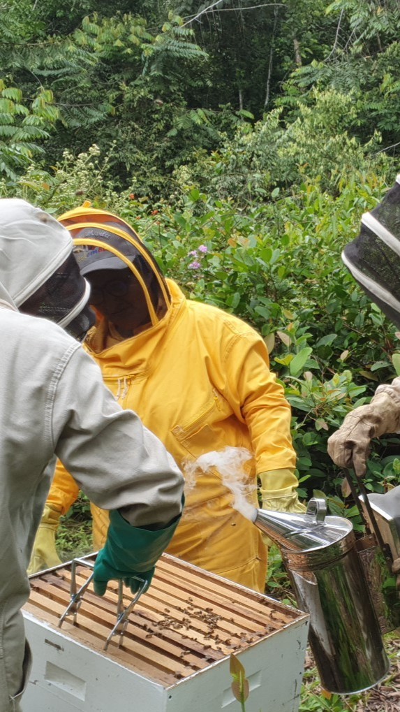 Capacitaciones en campo, proyectos apícolas 2023