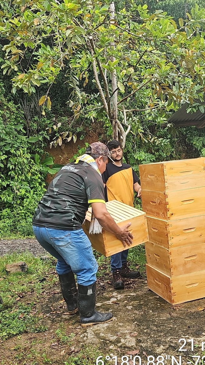 Instalación de apiario en Cimitarra, Colombia